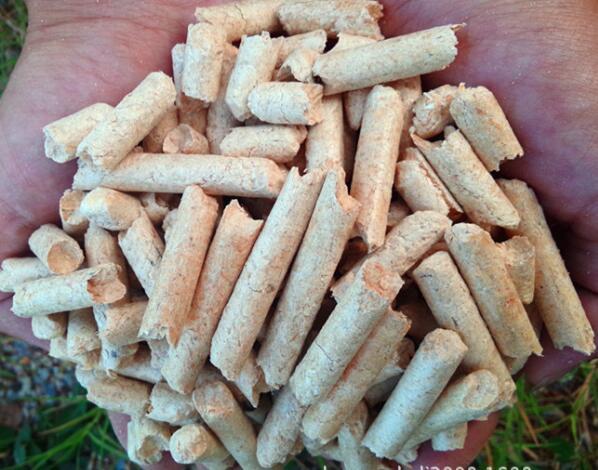 生物質(zhì)燃料顆粒機設(shè)備 生物質(zhì)燃料顆粒機設(shè)備