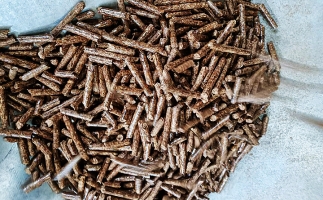 秋季到來，儲存鋸末顆粒機生物質(zhì)顆粒的正確方式